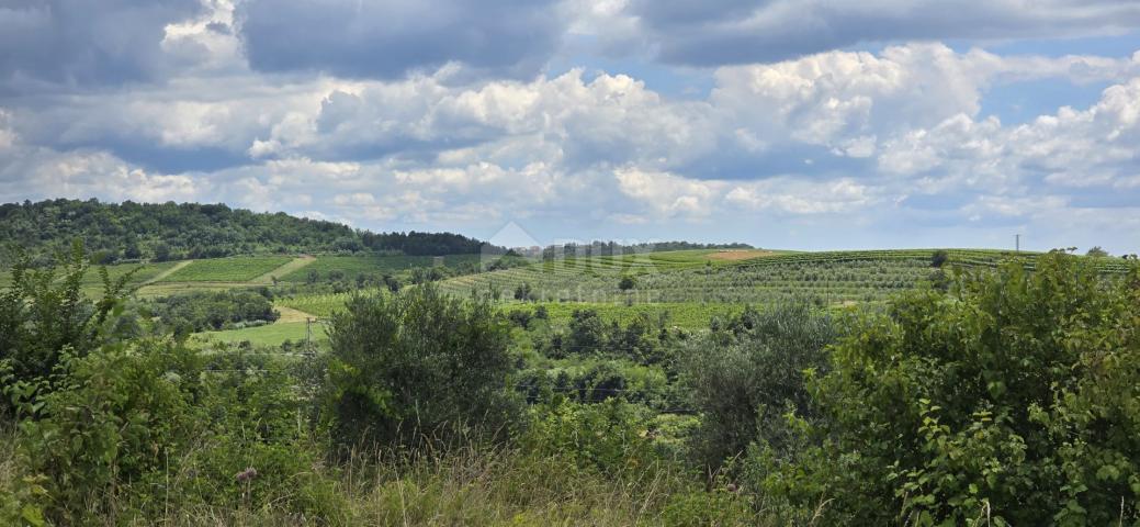 ISTRIEN, BUJE - Baugrundstück am Rande der Bauzone, Panoramablick