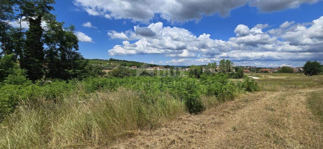 ISTRA, VIŽINADA - Građevinsko zemljište s otvorenim pogledom