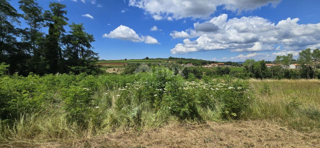 ISTRIA, VIŽINADA - Building plot with an open view