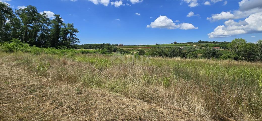 ISTRA, VIŽINADA - Građevinsko zemljište s otvorenim pogledom