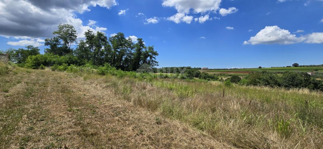 ISTRIA, VIŽINADA - Building plot with an open view