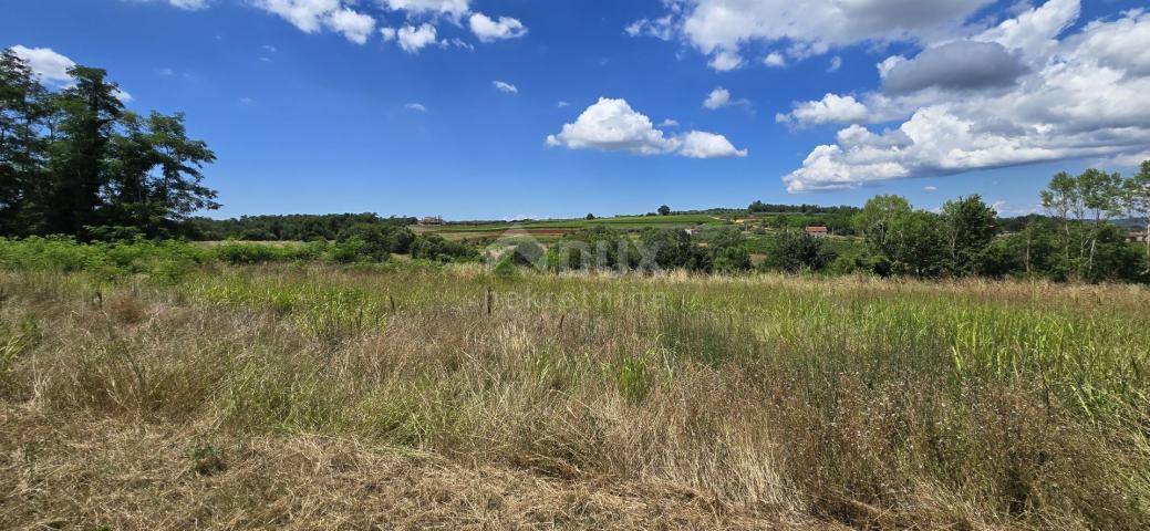 ISTRIA, VIŽINADA - Building plot with an open view