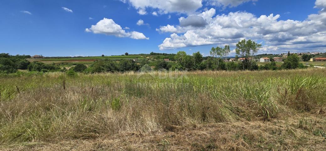 ISTRA, VIŽINADA - Građevinsko zemljište s otvorenim pogledom