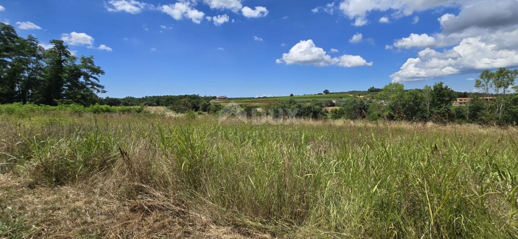 ISTRIA, VIŽINADA - Building plot with an open view