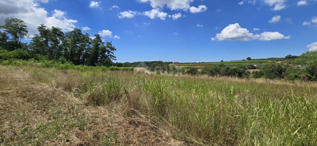 ISTRIA, VIŽINADA - Building plot with an open view