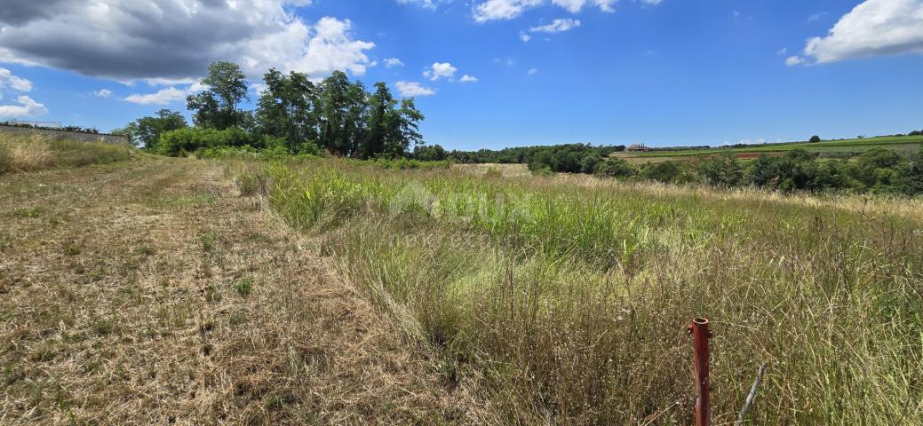 ISTRIA, VIŽINADA - Building plot with an open view