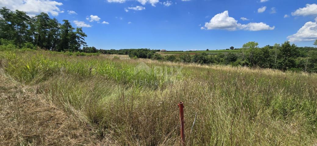 ISTRIA, VIŽINADA - Building plot with an open view