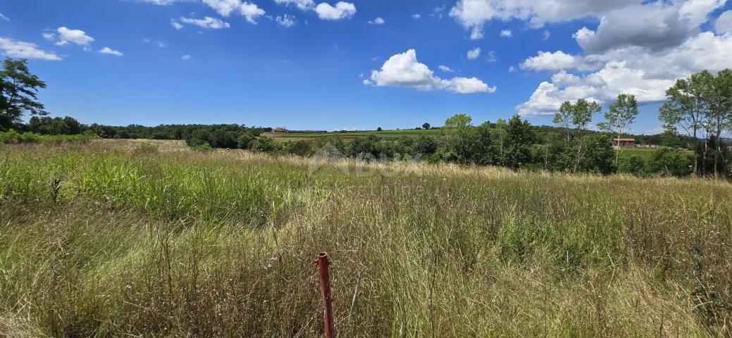 ISTRIA, VIŽINADA - Building plot with an open view