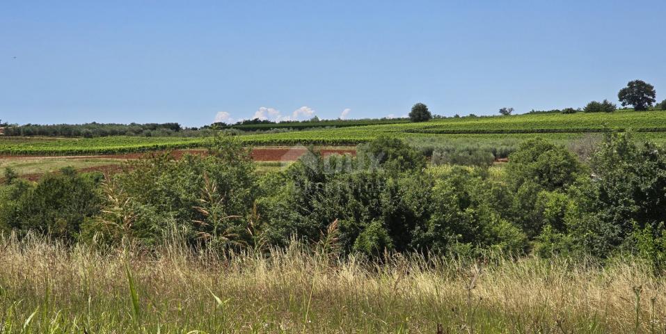 ISTRA, VIŽINADA - Građevinsko zemljište s otvorenim pogledom