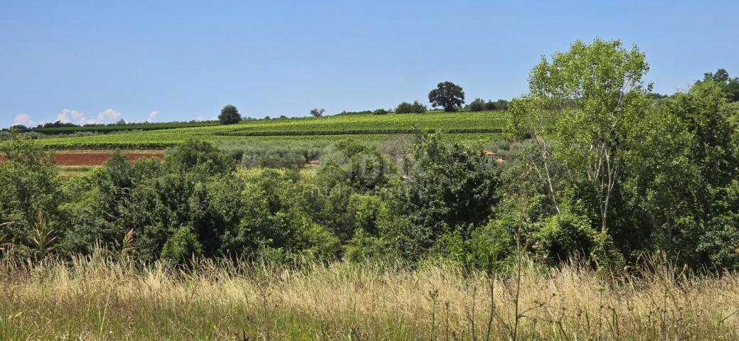 ISTRIA, VIŽINADA - Building plot with an open view