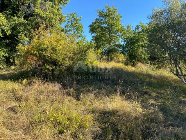 ISTRIA, DRAGUĆ - building plot 2,257 for a residential building - apartments / apartments / family h