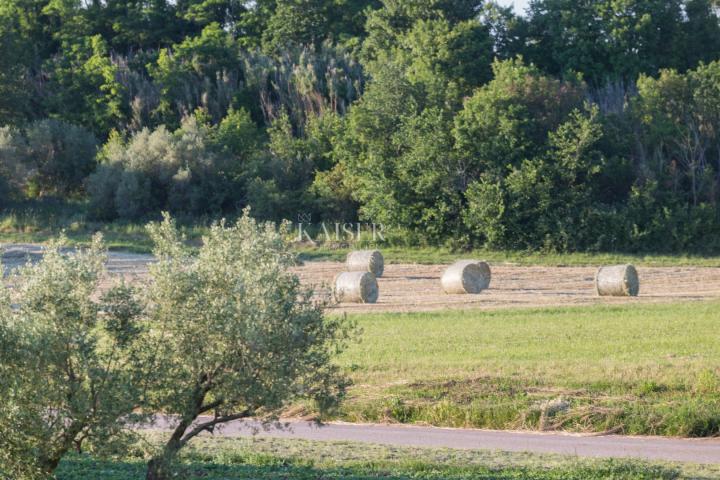 Istrien - Novigrad, Villa mit Pool, Meerblick