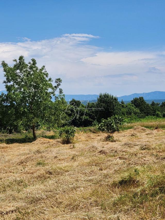 SAMO KOD NAS! Kuća na prostranoj okućnici u mirnom okruženju