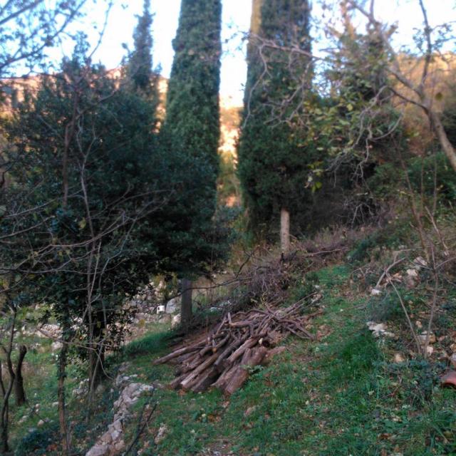 House with spring water and land in Buljarica