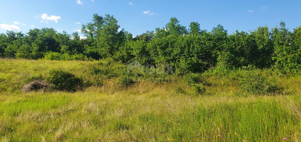 ISTRA, LABIN - Zemljište s građevinskom dozvolom, zadnje u naselju