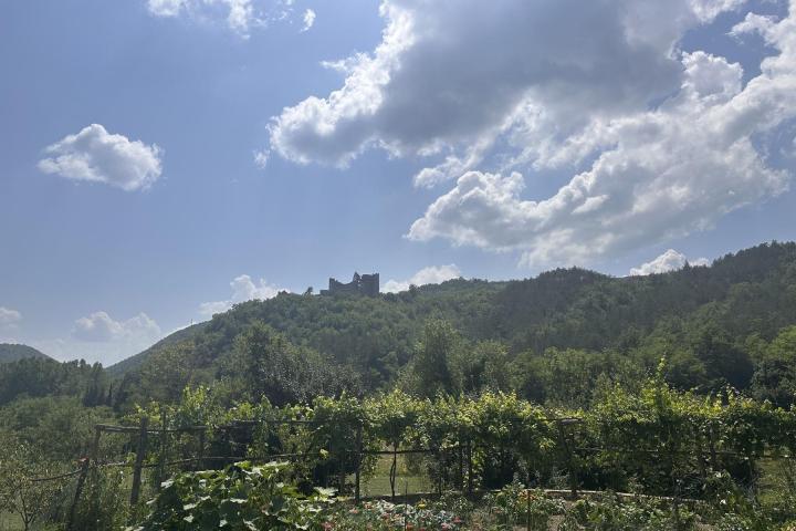 Istra, Žunti, veliko građevinsko zemljište s pogledom na Kaštel