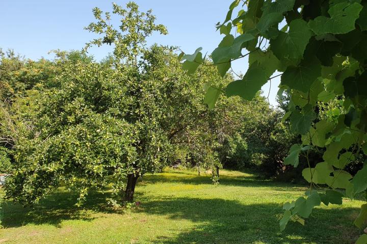 Istra, Žminj, uređena kuća s dodatnim objektima te velikim građevinskim zemljištem