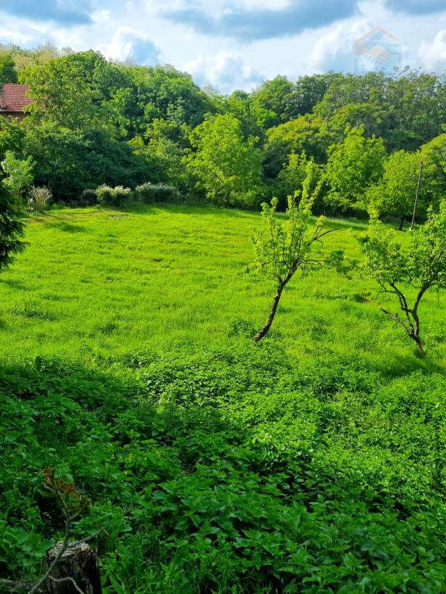 Kuća za odmor - Podolje