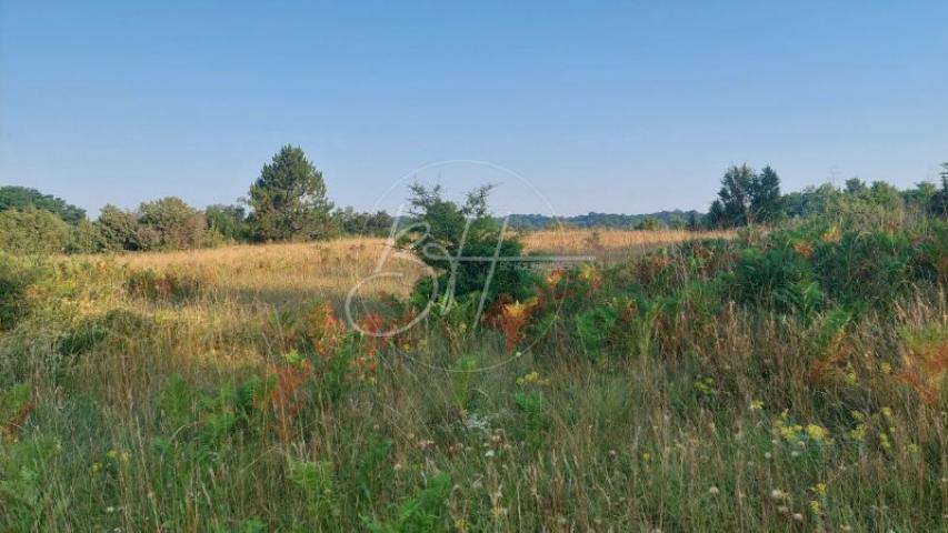 Land Balići I, Žminj, 7.698m2