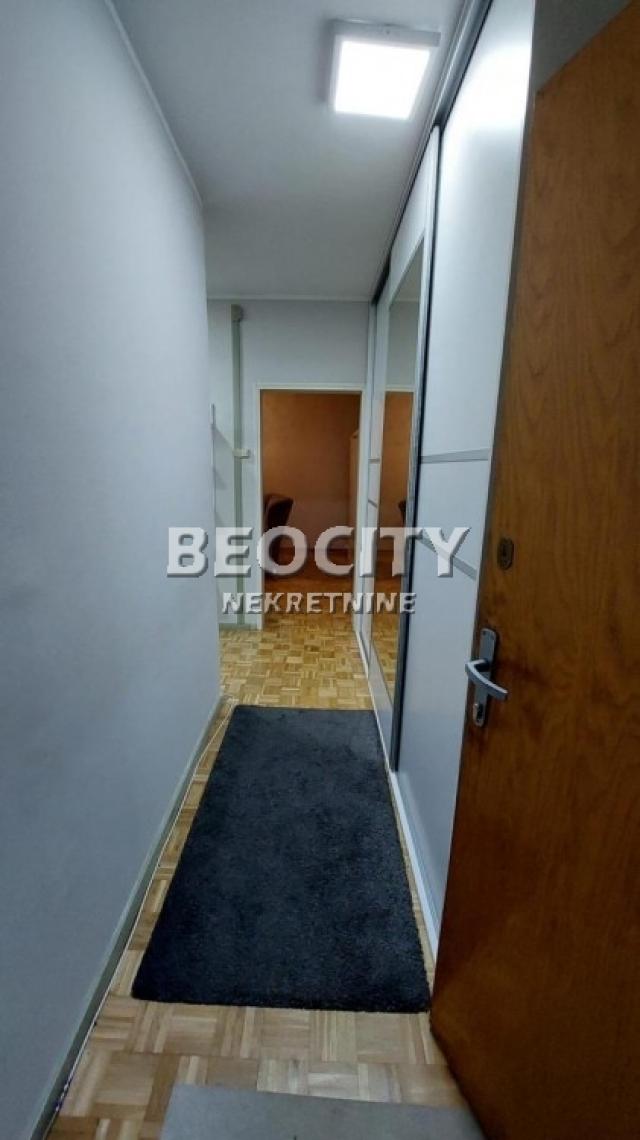 Novi Sad, Detelinara, Stevana Mokranjca, 1. 0, 48m2, 500EUR