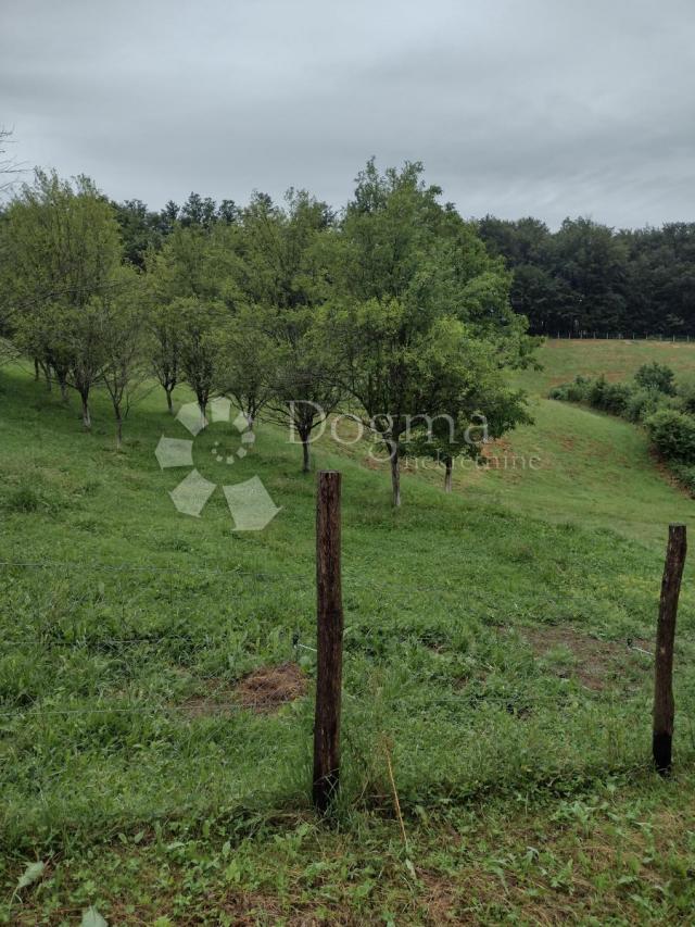 Veliko i uredno imanje, blizina glavnog grada