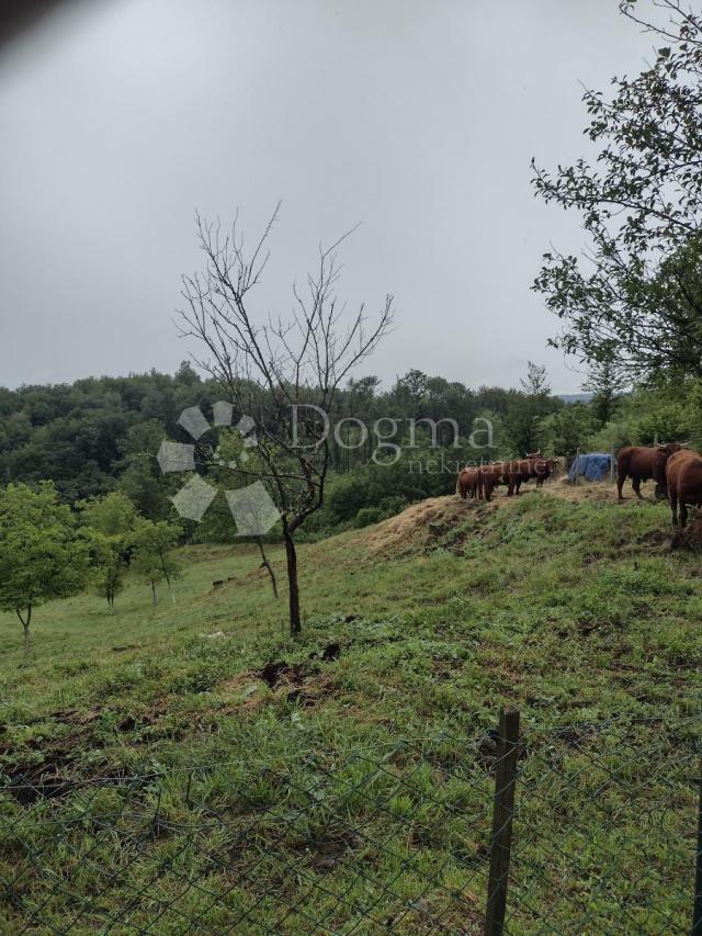 Veliko i uredno imanje, blizina glavnog grada