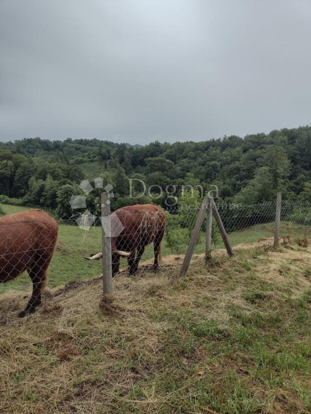 Veliko i uredno imanje, blizina glavnog grada