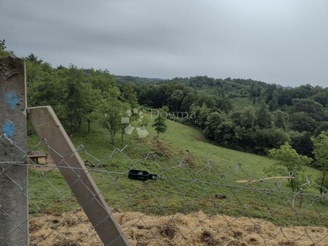 Veliko i uredno imanje, blizina glavnog grada