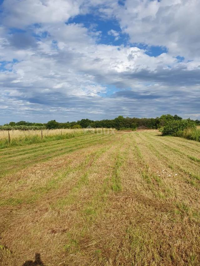 ISTRA, LIŽNJAN Građevinsko zemljište u Muntiću 900 m2