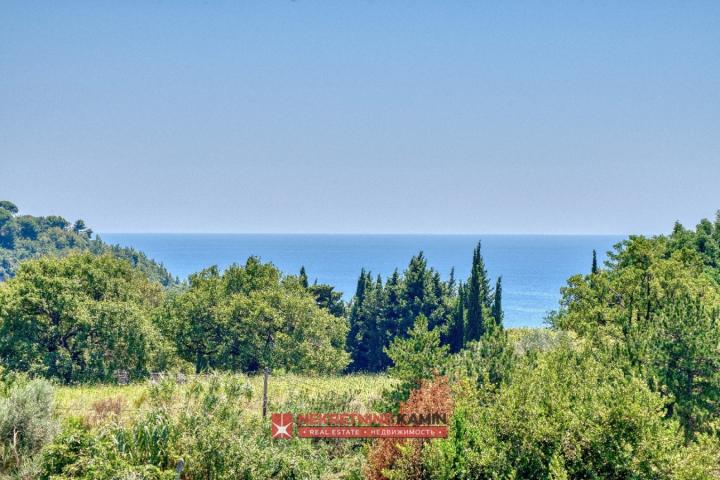 Stone villa surrounded with olive trees, Budva, Rezevici