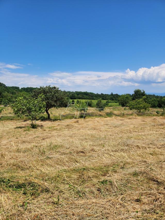 PRILIKA! Kuća s velikim posjedom