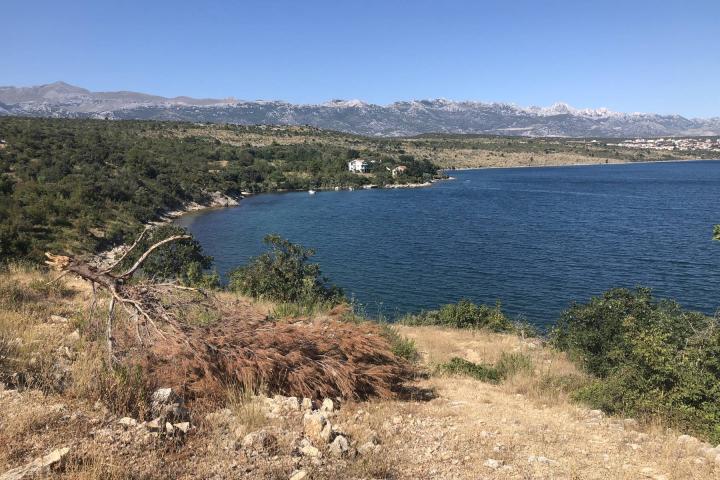 ZADAR Posedarje zemljište prvi red do mora sa ogromnim potencijalom 8500 m2