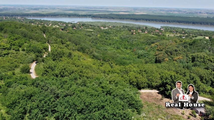 Plac za velike projekte -pogled Dunav i lipova suma