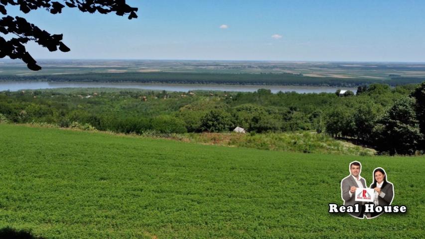 Plac za velike projekte -pogled Dunav i lipova suma