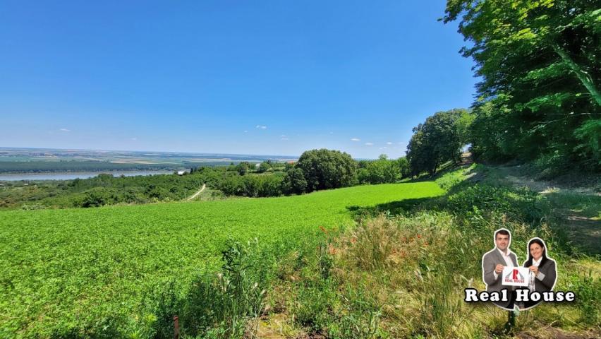 Plac za velike projekte -pogled Dunav i lipova suma