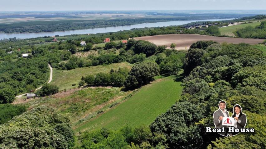 Plac za velike projekte -pogled Dunav i lipova suma