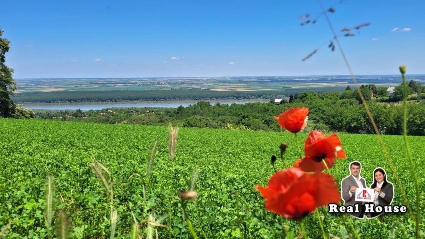 Plac za velike projekte -pogled Dunav i lipova suma