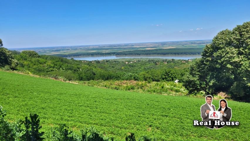 Plac za velike projekte -pogled Dunav i lipova suma