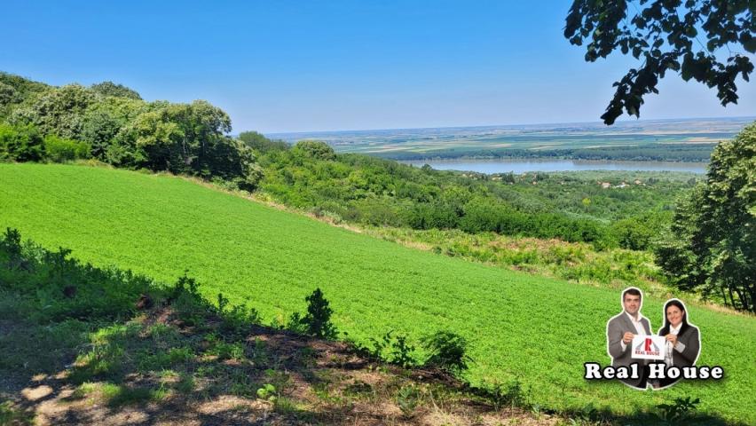 Plac za velike projekte -pogled Dunav i lipova suma