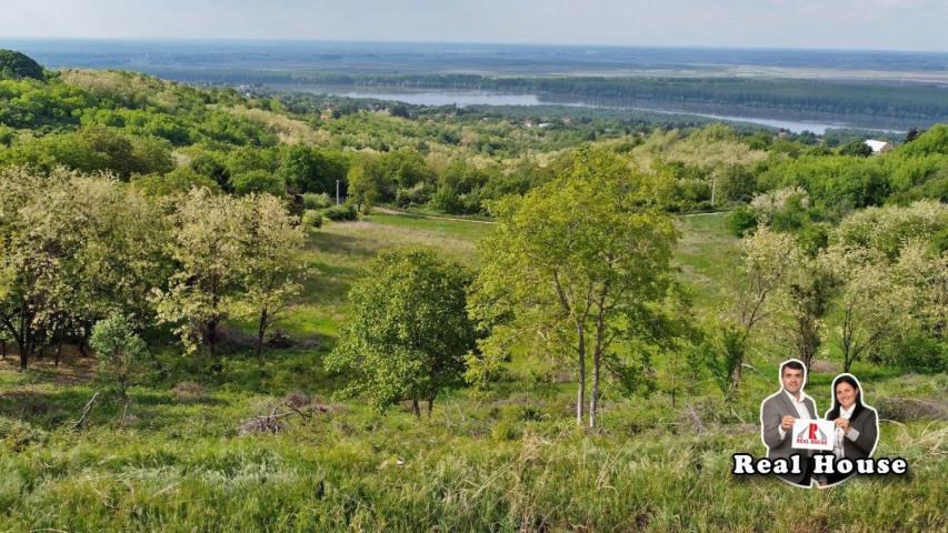 Vizionari-plac sa pogledm na Dunav i pola Vojvodine