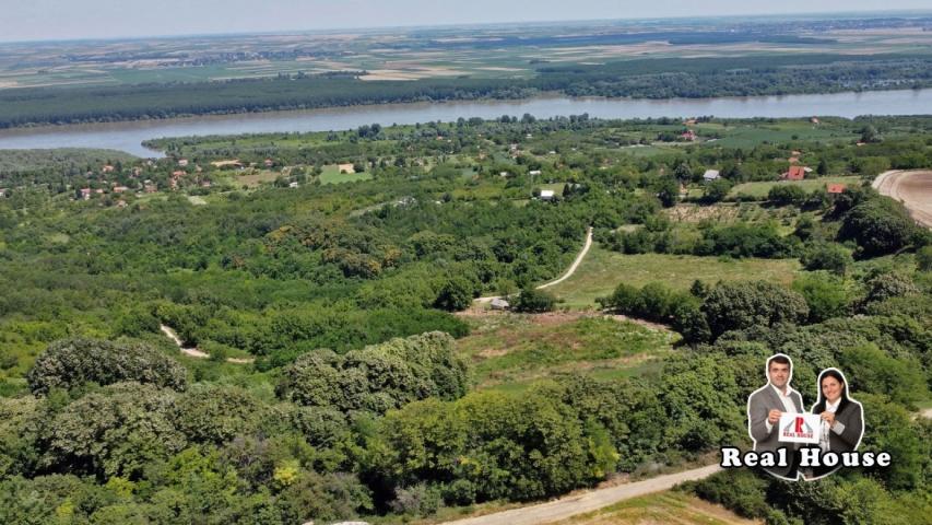 Plac za velike projekte -pogled Dunav i lipova suma