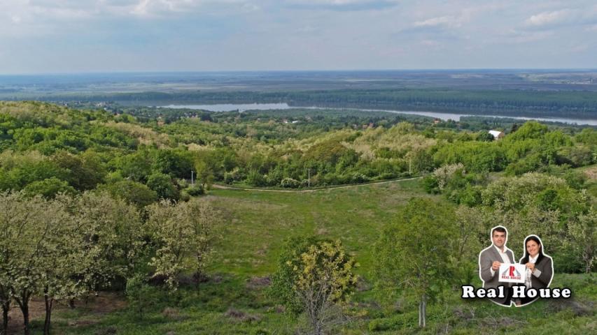 Vizionari-plac sa pogledm na Dunav i pola Vojvodine