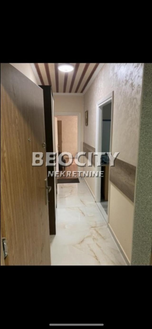 Novi Sad, Centar, Maksima Gorkog, 2. 5, 60m2, 800EUR