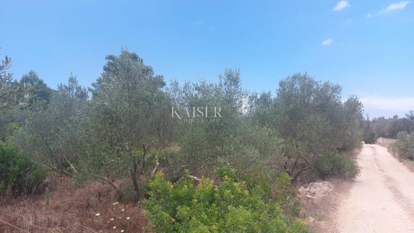 Building land Sali, 736m2