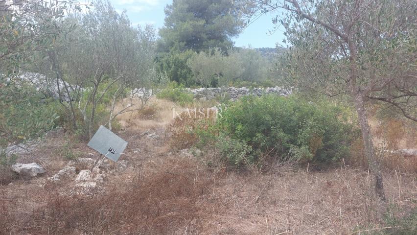 Building land Sali, 736m2