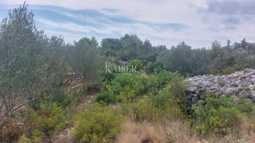 Building land Sali, 736m2