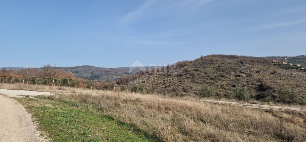 ISTRA, BUJE - Dvojna kuća s bazenom, novogradnja, pogled na prirodu