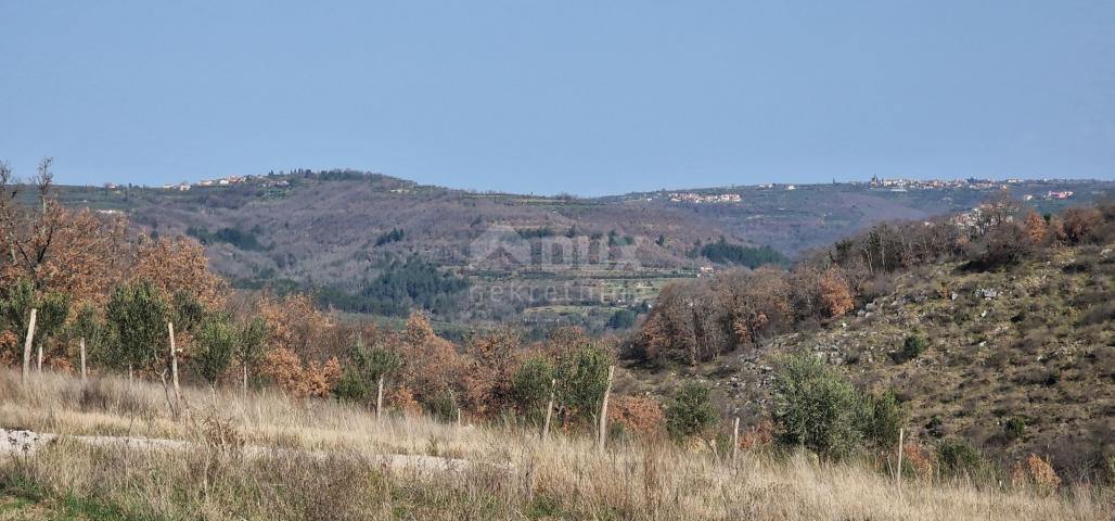 ISTRA, BUJE - Dvojna kuća s bazenom, novogradnja, pogled na prirodu