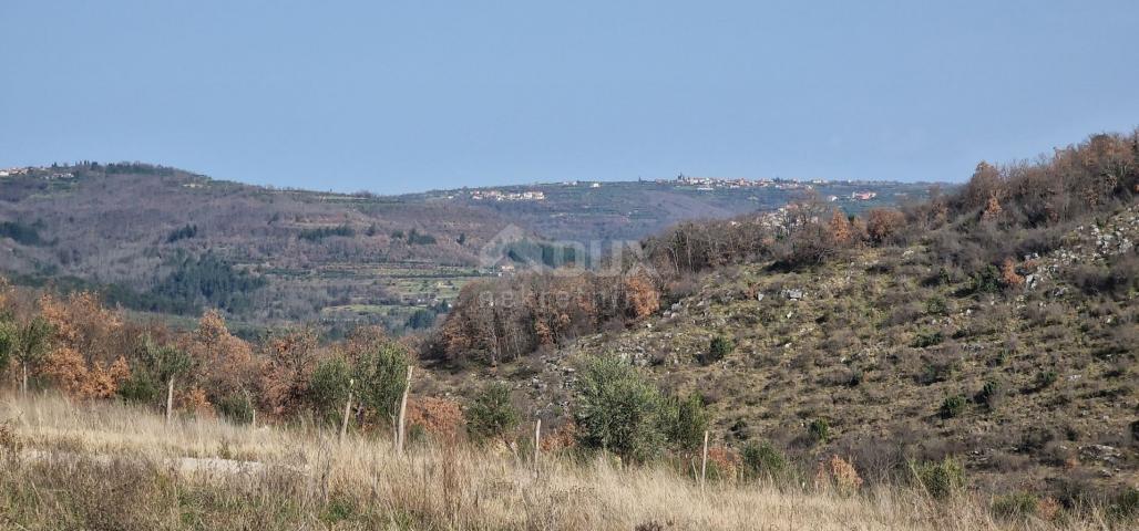 ISTRA, BUJE - Dvojna kuća s bazenom, novogradnja, pogled na prirodu