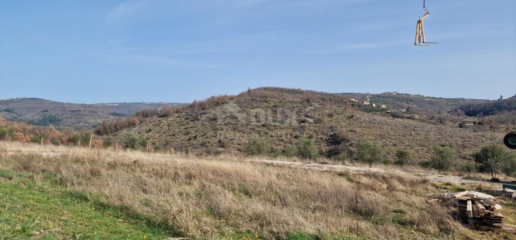 ISTRA, BUJE - Dvojna kuća s bazenom, novogradnja, pogled na prirodu